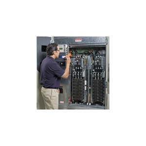 APC WSAPMV-UG-01 Stand Alone PM Visit for UPS up to 40 kVA UPS