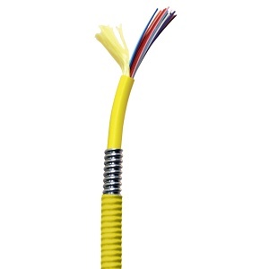 image of 40-cd15006rs