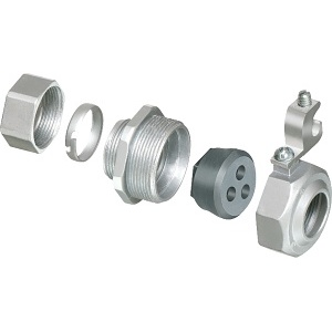 Image of 9N-LTPV821