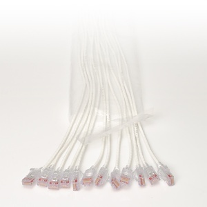 image of or-6a031203;image of or-6a031203