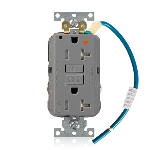 Image of LV-GFTR2IGG