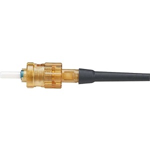 Image of P9-FST2MC5BL