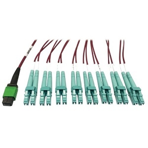 Eaton Tripp Lite N846D-03M-16EMG Fiber Optic Patch Cable, 3-Meter 16-Strand MPO/APC OM4, High-Performance Network Applications