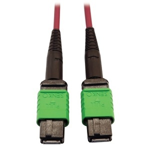 Eaton Tripp Lite N846D-03M-16AMG Fiber Optic Patch Cable, 3M 16-Strand MPO/APC OM4