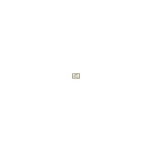 Image of 2G-10NIFDIGI