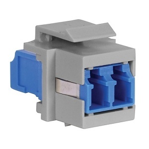 Image of 40-SFFLCSAQG