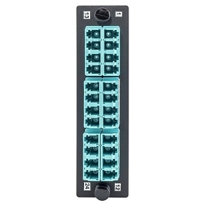 Image of 40-LCQS6H4AQ