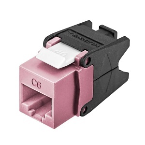 image of 40-hju6pk24