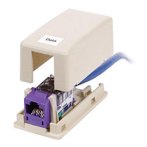 Image of 40-HSB1OWP
