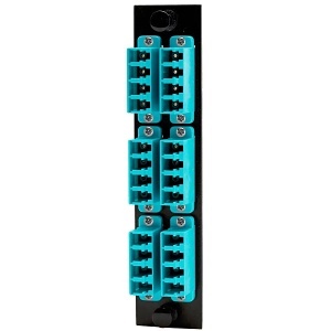 image of 40-pnlcqs6aq