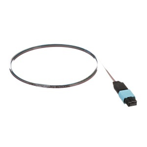 Panduit FZTCN5NNNONM001 12-Fiber Ribbon Assembly, OM4, OFNP, MPO F to Pigtail