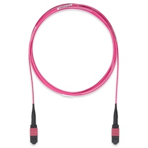 Belden FP4MFMF03M5 Fiber Optic Patch Cable OM4 MPO 12-Fiber, 3.5m
