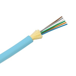 Image of P9-FODLZ06