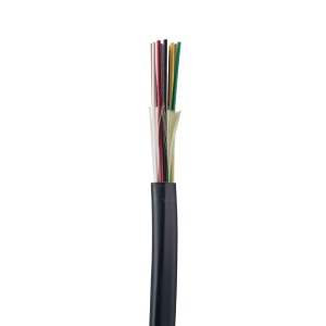 Image of P9-FOKRX24