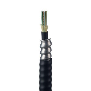 image of p9-folrx24