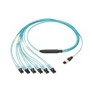 Image of P9-NQSVNF029