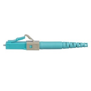 Image of P9-T9SOCPXAQ