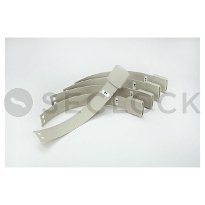 Image of IS-WGBSECS15