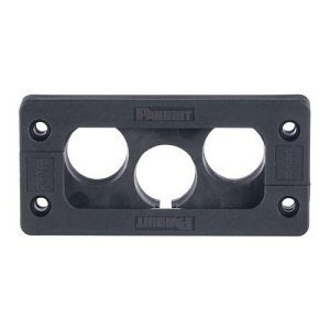 Image of P9-CEST1D3