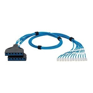 Image of P9-CSDBWXB07