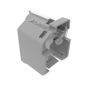 image of p9-dcplreigc;image of p9-dcplreigc