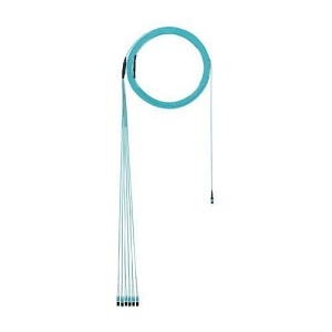 Panduit F9TYP5EL2SAF250 12-Fiber Trunk Cable Assembly, OS2, OFNP, MPO F to LC Duplex, Standard Polarity