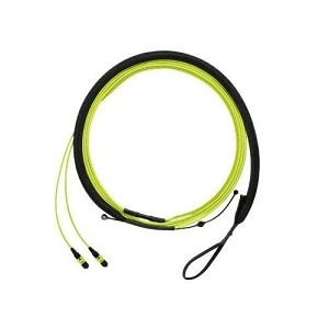Panduit FWUYL7575KNM010 24-Fiber Trunk Cable, OM5+ Signature Core, LSZH, PanMPO F to PanMPO F, Polarity A