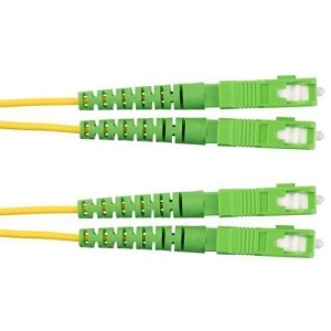 image of p9-asma103;image of p9-asma103