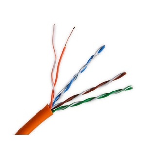 image of w1-t5e100org
