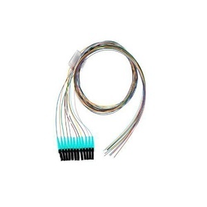 Image of P9-NNNSZM067