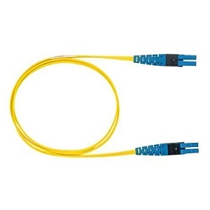 Image of P9-L1010M010