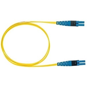 Image of P9-L1010M017