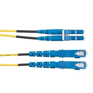 Image of P9-ERLLSM119