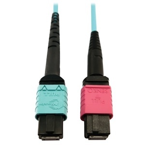 Eaton Tripp Lite N846D-01M-24DAQ Fiber Optic Patch Cord, OM4 Plenum, 24 Fiber to 16 Fiber, 1m, Aqua
