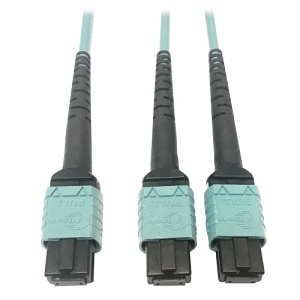 Eaton Tripp Lite N846D-01M-24BAQ Fiber Optic Patch Cord, 24-Fiber for MPO, 1m, Aqua