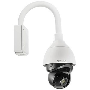 image of mj-39534101