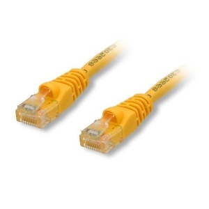 image of rh-cat65ylw