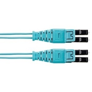 Image of P9-1Q1SNM163