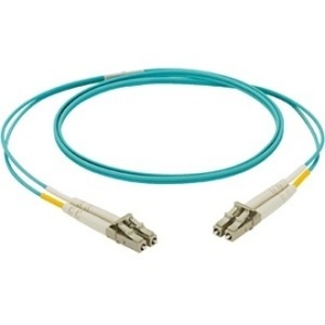 Image of P9-ERLLSM142