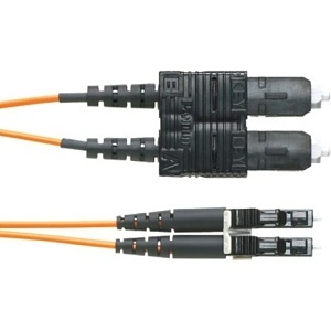 Image of P9-ERLLSM151