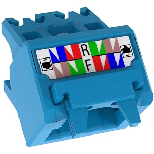 image of p9-judcapbuc;image of p9-judcapbuc