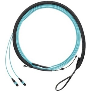 Image of P9-NQSSNF009