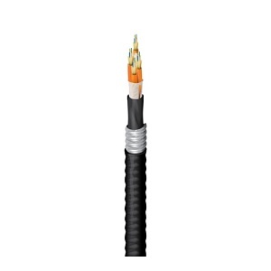 Belden FD1D024FJ FD DNTB OM1 Multimode 24-Fiber Cable, Riser Rated, Armored
