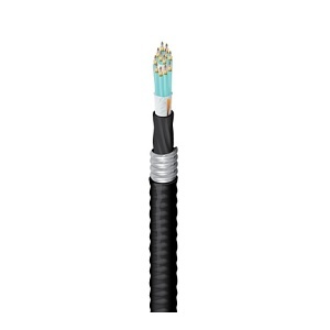 image of 7b-fd3d144fk