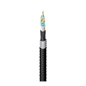 image of 7b-fd3d24fj