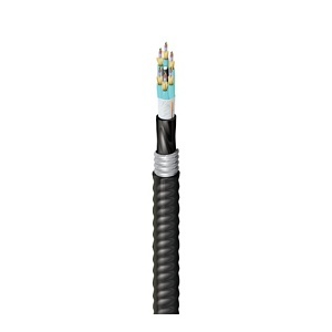 Belden FD3D072AK FD Distribution Series OM3 72-Fiber Indoor/Outdoor Tight-Buffered Fiber Optic Cable, OFCP Aluminum Interlocked Armored