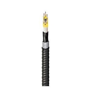 Belden FDSD072AK FD Distribution Series OS2 72-Fiber Indoor/Outdoor Tight-Buffered Fiber Optic Cable, OFCP Aluminum Interlocked Armored