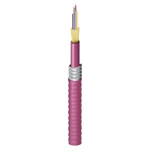 Belden FI4D012F9 FI Distribution Series OM4 12-Fiber Indoor/Outdoor Tight-Buffered Fiber Optic Cable, OFCR Aluminum Interlocked Armored