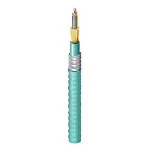 Belden FI4D024F9A FI Distribution Series OM4 24-Fiber Indoor/Outdoor Tight-Buffered Fiber Optic Cable, OFCR Aluminum Interlocked Armored