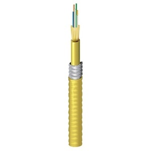 Image of 7B-FISD006A9